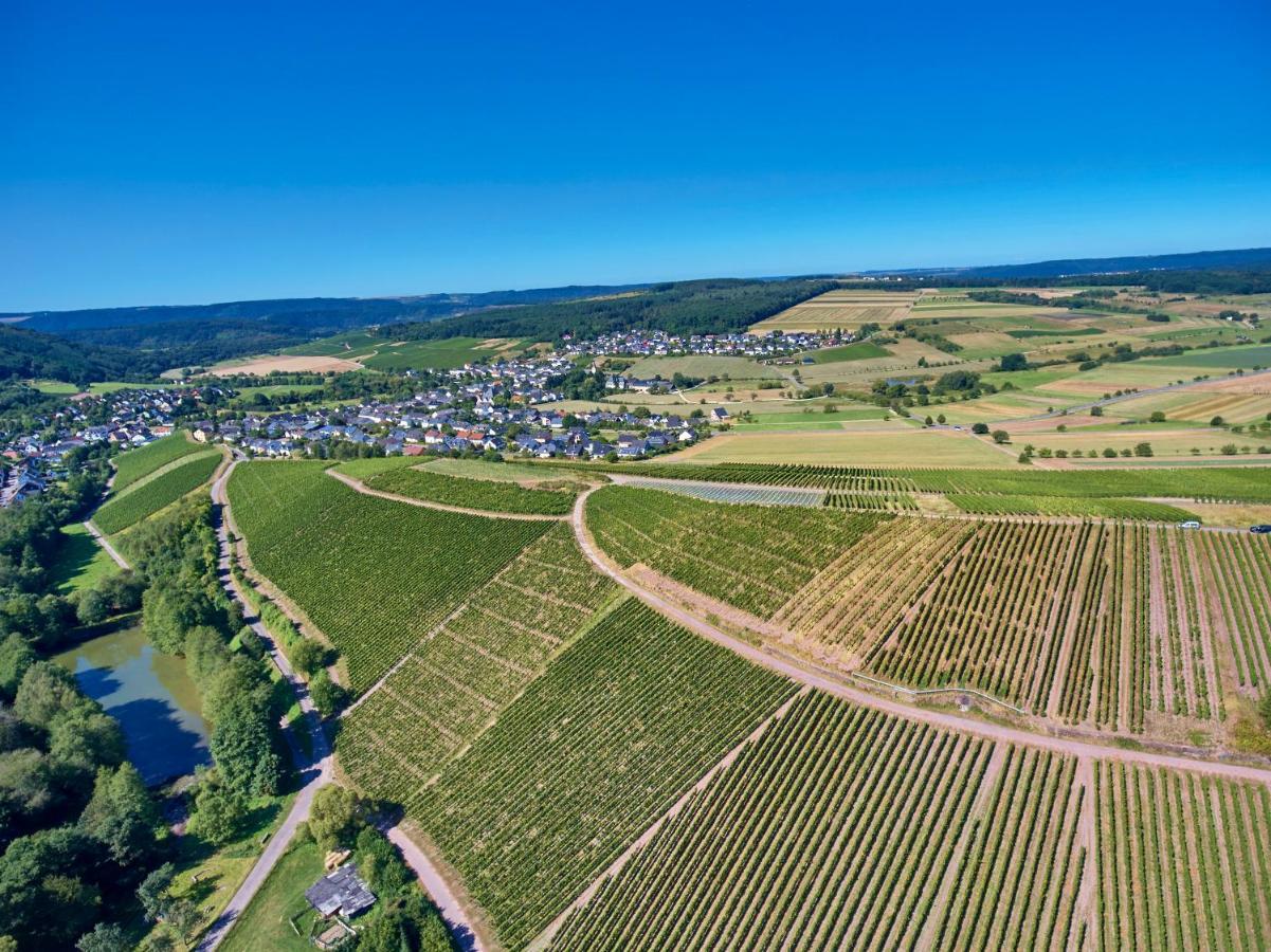 Ferienweingut Willems Oberemmel Exteriér fotografie