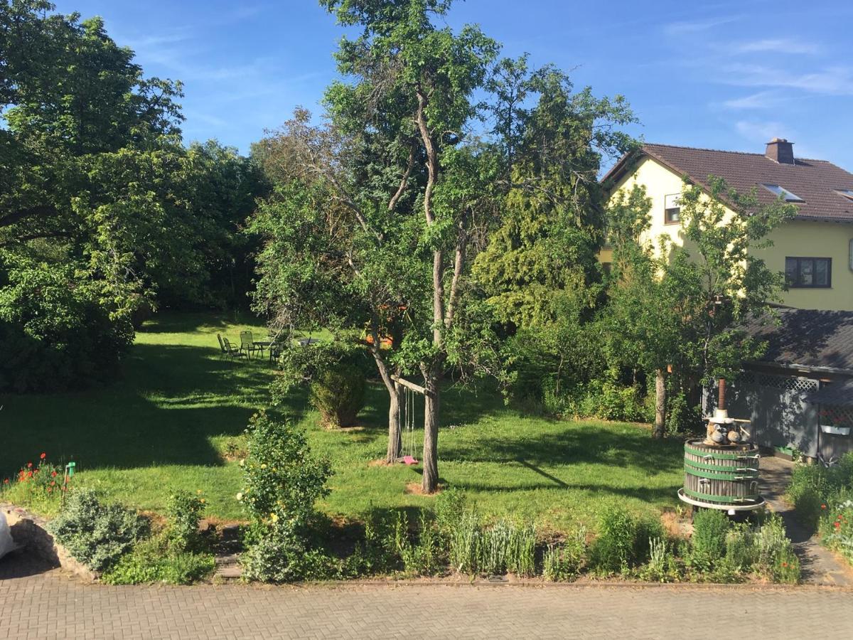 Ferienweingut Willems Oberemmel Exteriér fotografie