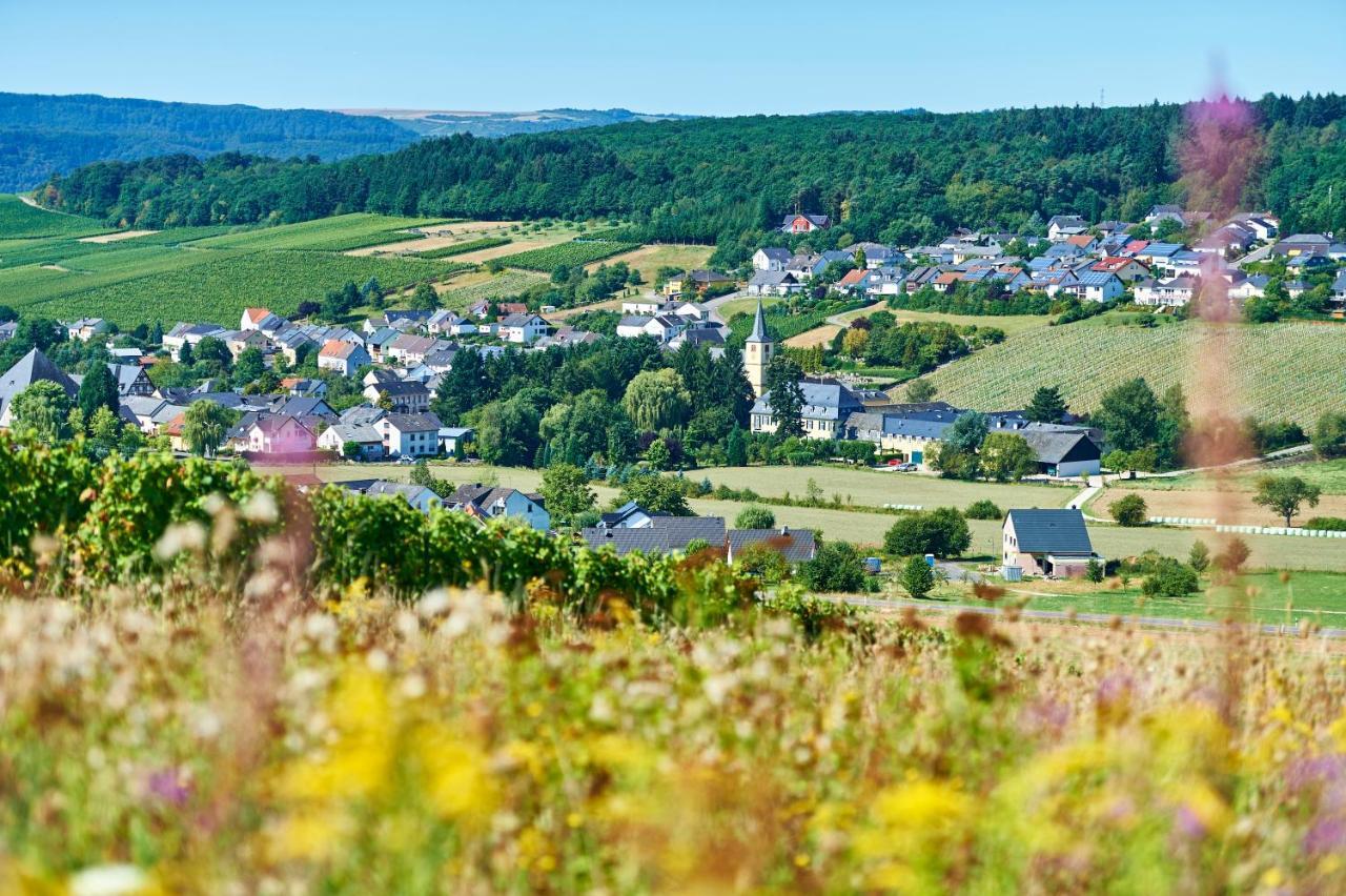 Ferienweingut Willems Oberemmel Exteriér fotografie
