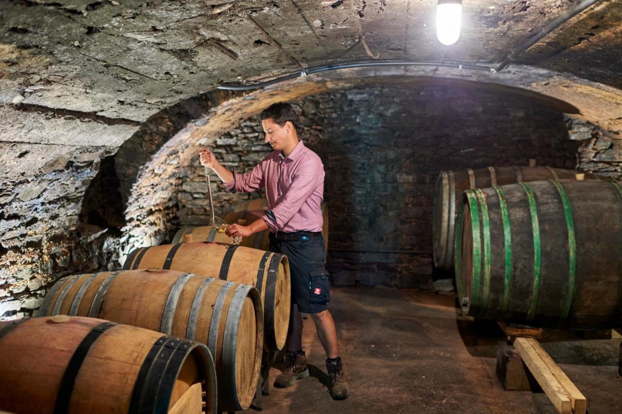 Ferienweingut Willems Oberemmel Exteriér fotografie